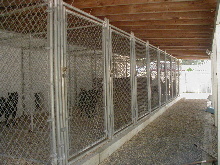 Outside runs of the large kennel