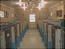 Inside Small/Medium kennel